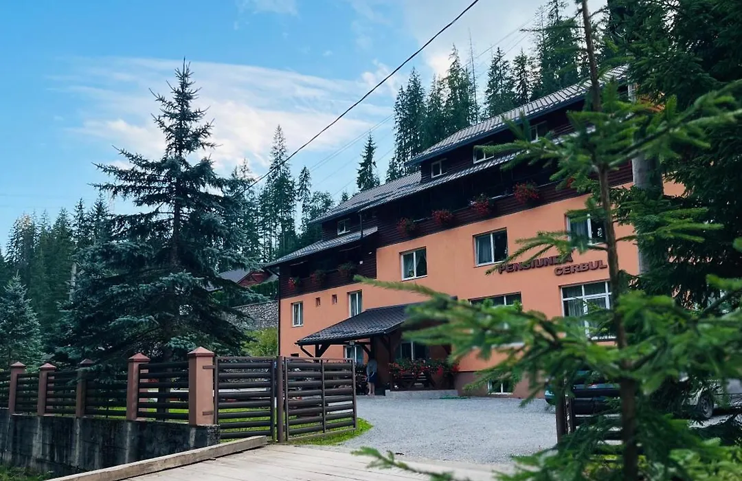 Pensiunea Cerbul-1